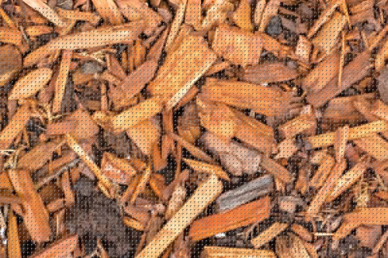 Bark Delivery Service