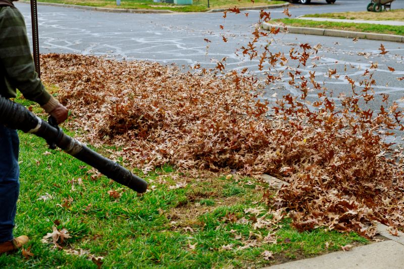 Leaf Blowing on Driveway