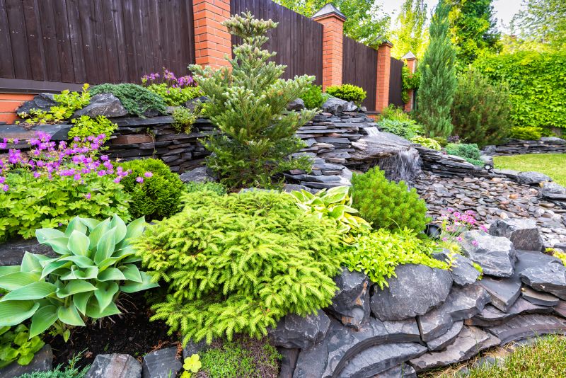 Rock Landscaping