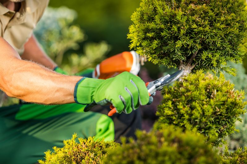 Seasonal Landscaping Services