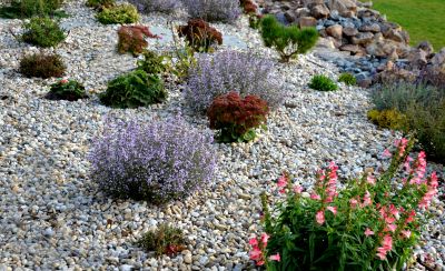 Xeriscape Landscaping