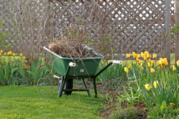 Flower Bed Cleanup Service in Clovis