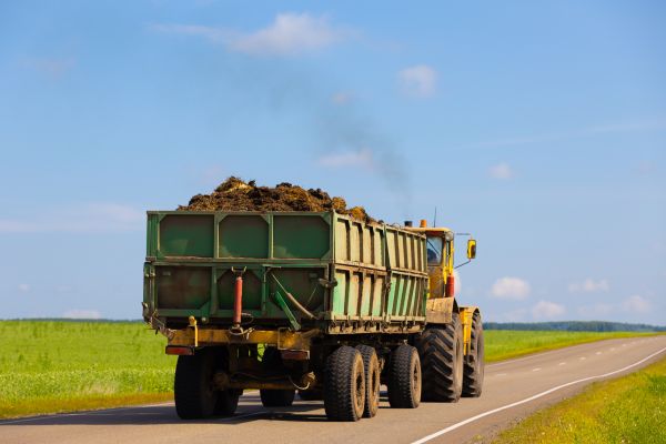 Bulk Soil Delivery in Clovis