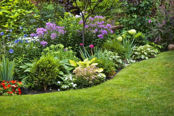 Flower Bed Service in Clovis