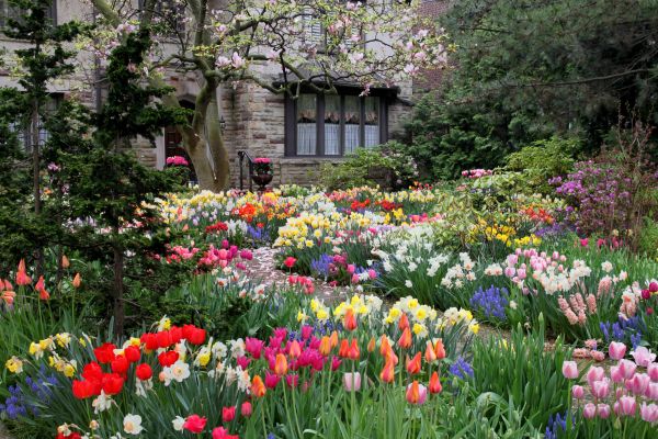 Garden Maintenance Service in Clovis