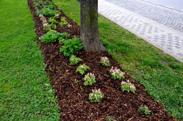 Mulch Replacement Service in Clovis