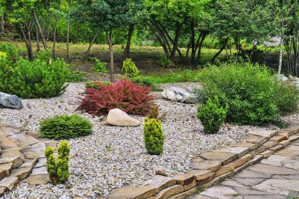 Rock Landscaping in Clovis