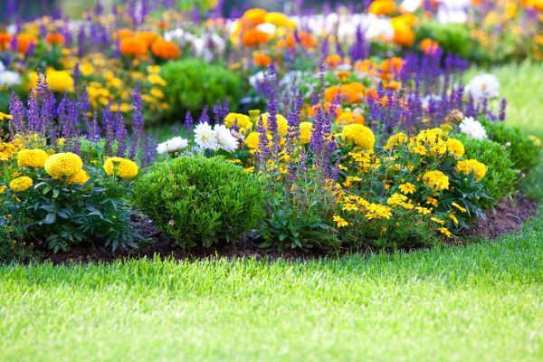 Garden Installation in Clovis