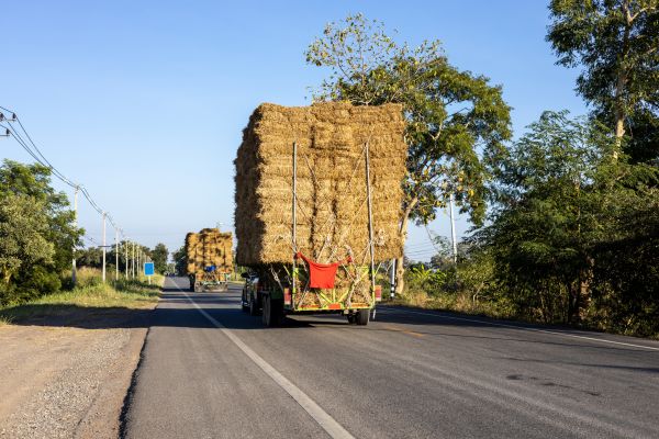 Pine Straw Delivery in Clovis