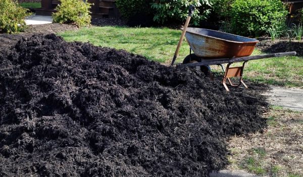 Black Mulch Delivery in Clovis