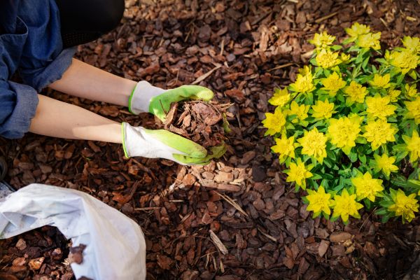 Garden Mulching in Clovis