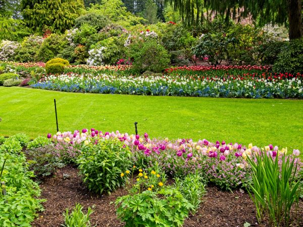 Residential Landscape Design in Clovis