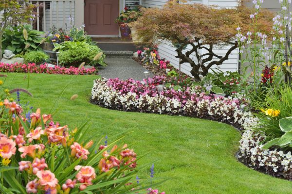 Perennial Landscaping in Clovis