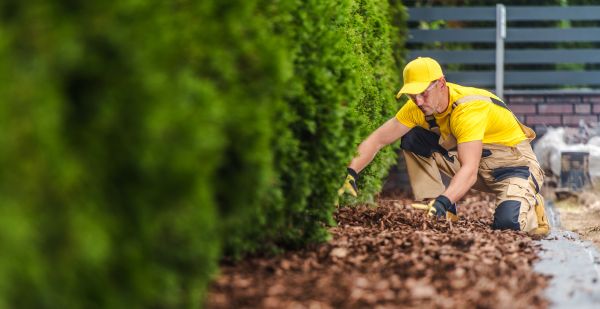Cypress Mulch Installation in Clovis