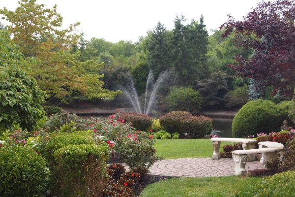 Courtyard Design Service in Clovis