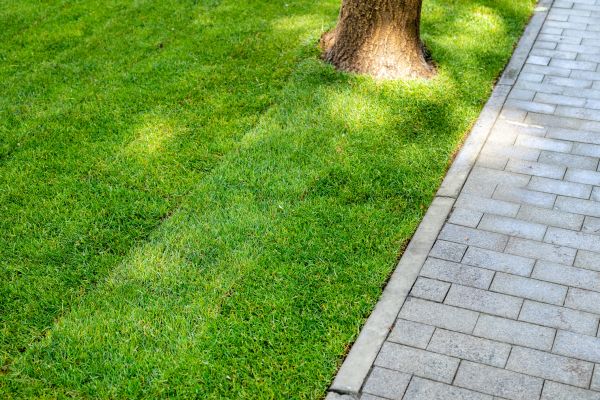 Border Stone Installation in Clovis
