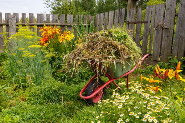 Garden Cleanup Service in Clovis