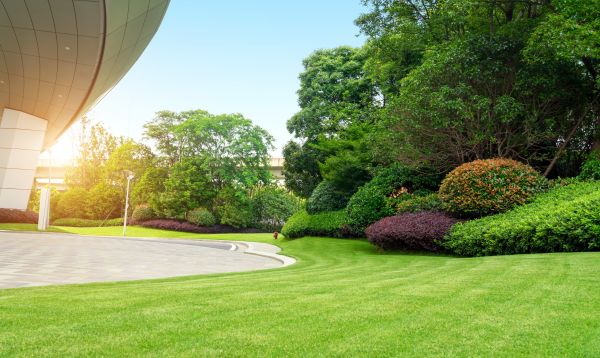 Business Landscape Design in Clovis
