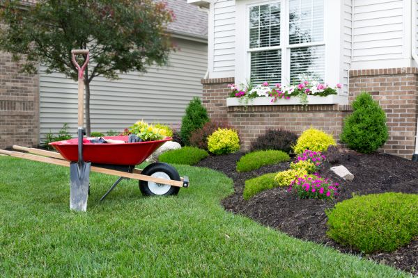 Tree And Shrub Planting in Clovis