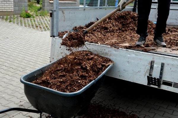 Landscape Mulch Delivery in Clovis