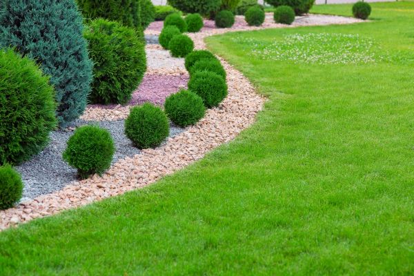 Edging Stones Installation in Clovis