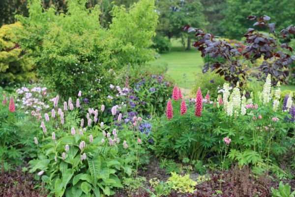 Flower Bed Planting in Clovis