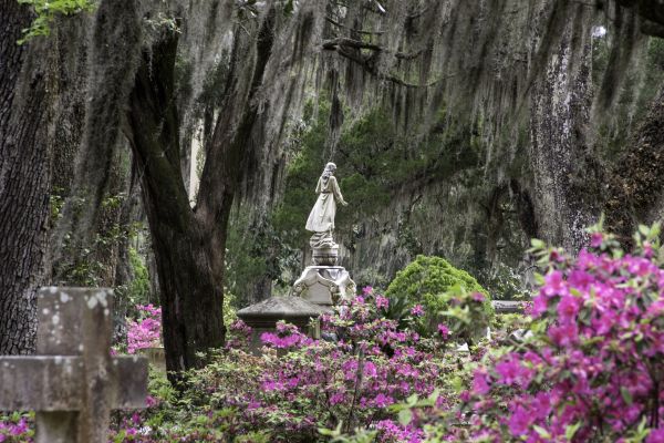 Cemetery Landscaping in Clovis