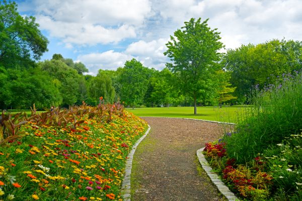 Park Landscaping in Clovis