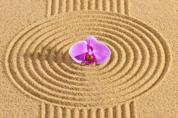 Sand Garden Landscaping in Clovis