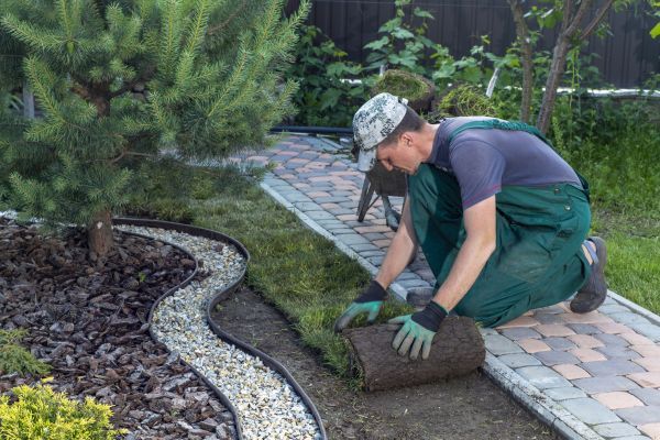 Landscaping Modification in Clovis