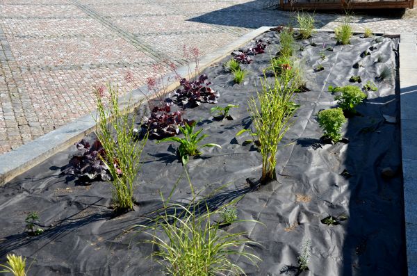 Landscape Fabric Installation in Clovis