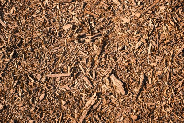 Wood Chips Removal in Clovis