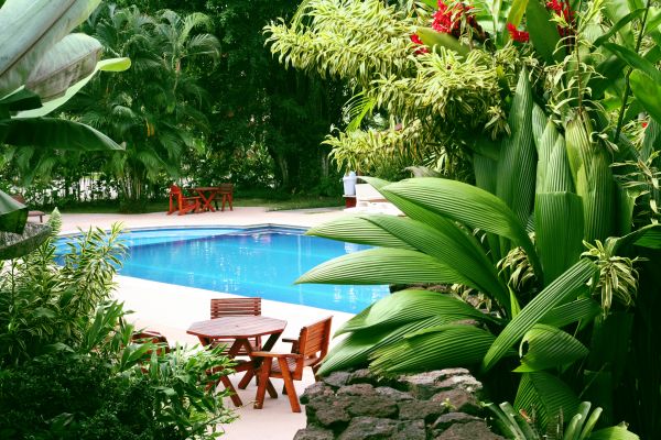 Pool Area Landscaping in Clovis