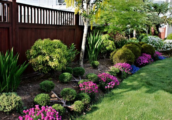Garden Bed Construction in Clovis