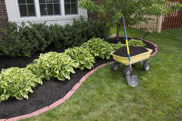 Landscape Mulching in Clovis