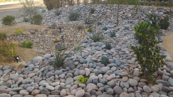 Yard Xeriscaping in Clovis