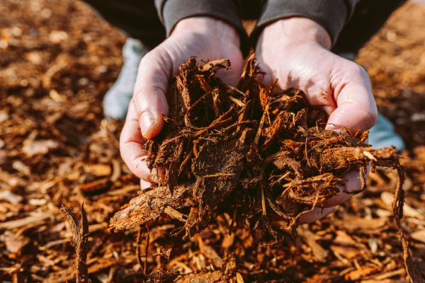 Bark Chips Delivery in Clovis