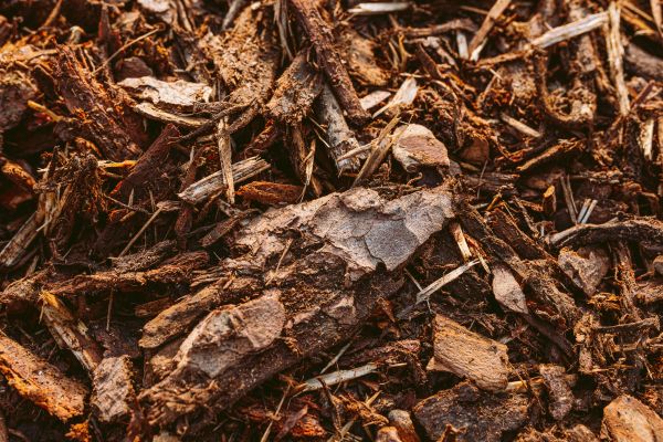 Bark Mulch Delivery in Clovis