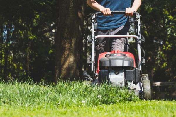 Garden Trimming Service in Clovis