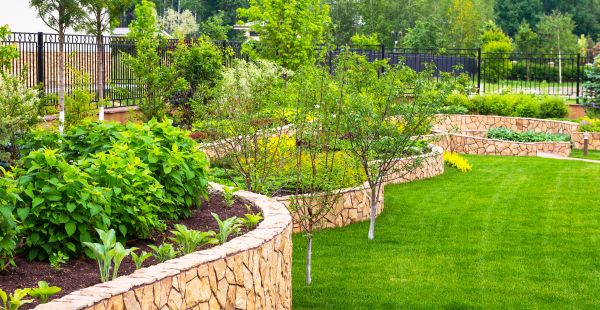 Yard Makeover Service in Clovis