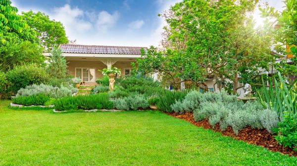 Greenery Planting in Clovis