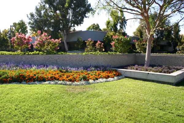 Commercial Landscape Service in Clovis