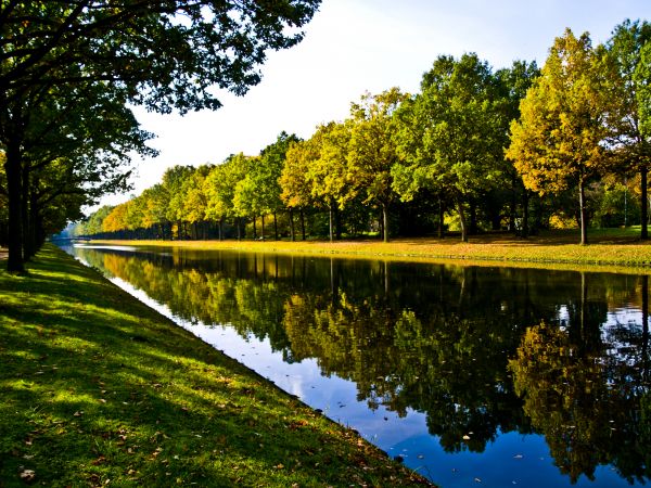 Bank Landscaping in Clovis
