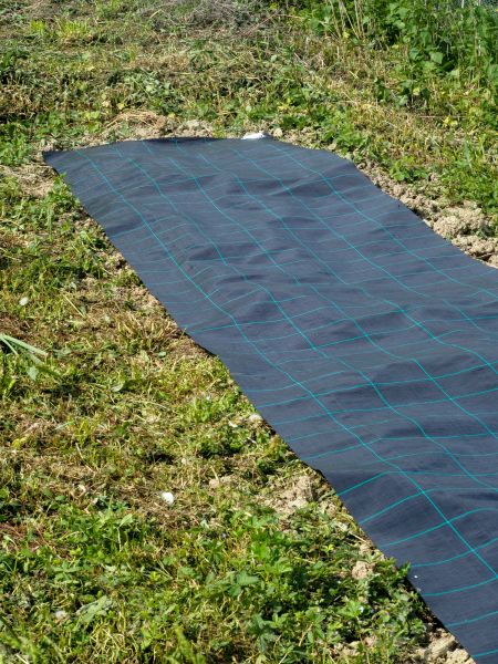 Weed Suppressant Installation in Clovis