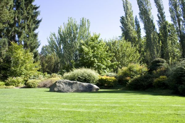 Yard Enlargement in Clovis