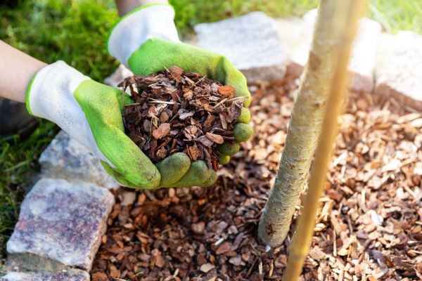 Tree Bark Delivery in Clovis