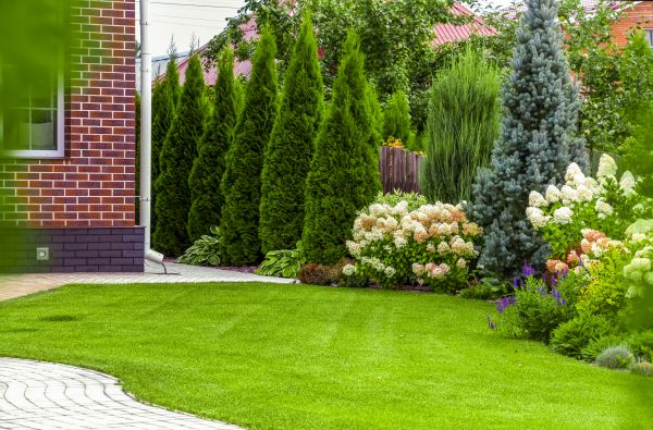 Spring Landscaping in Clovis