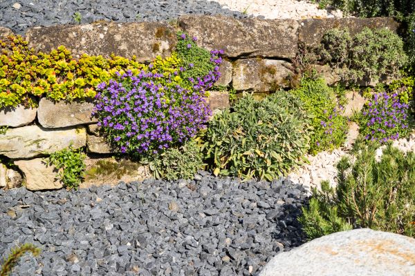 Landscaping Rocks Installation in Clovis