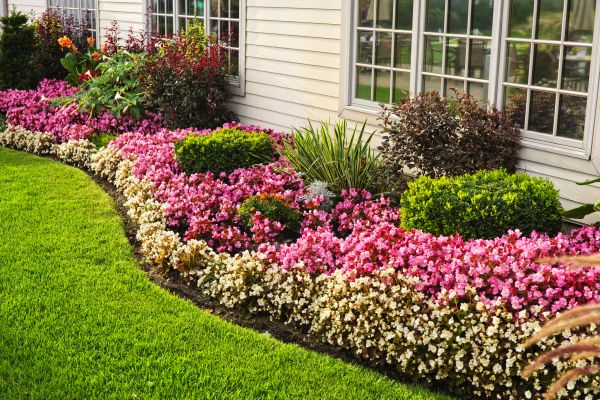 Garden Landscape Design in Clovis