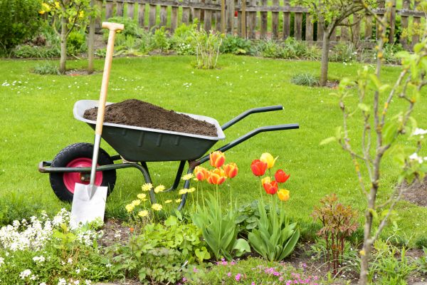 Spring Yard Renovation in Clovis